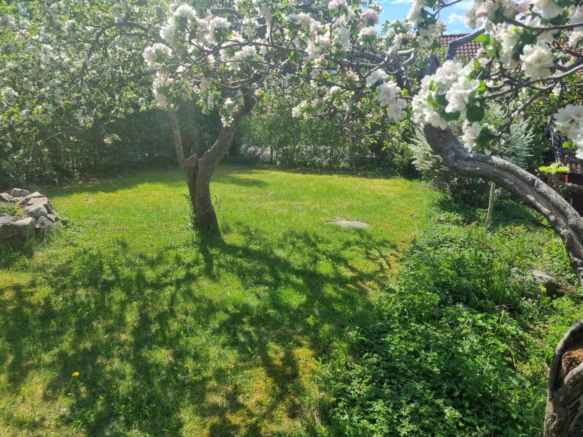 Saellinge House - Cozy Villa With Fireplace And Garden Close To Uppsala Extérieur photo