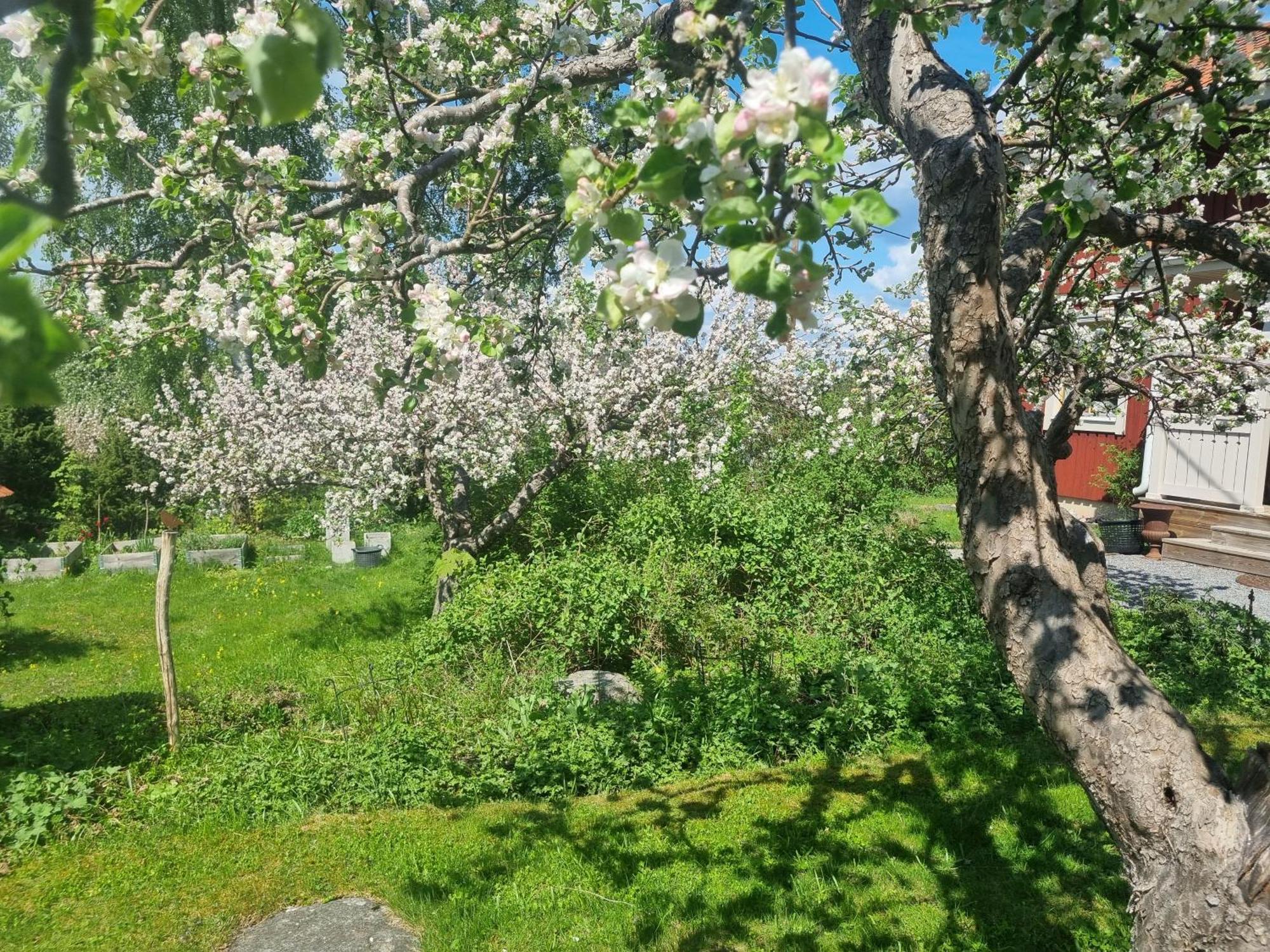 Saellinge House - Cozy Villa With Fireplace And Garden Close To Uppsala Extérieur photo